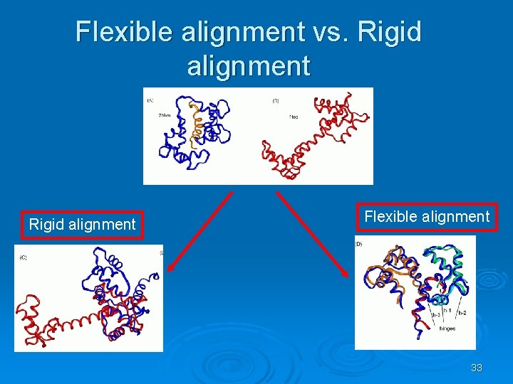 Flexible alignment vs. Rigid alignment Flexible alignment 33 