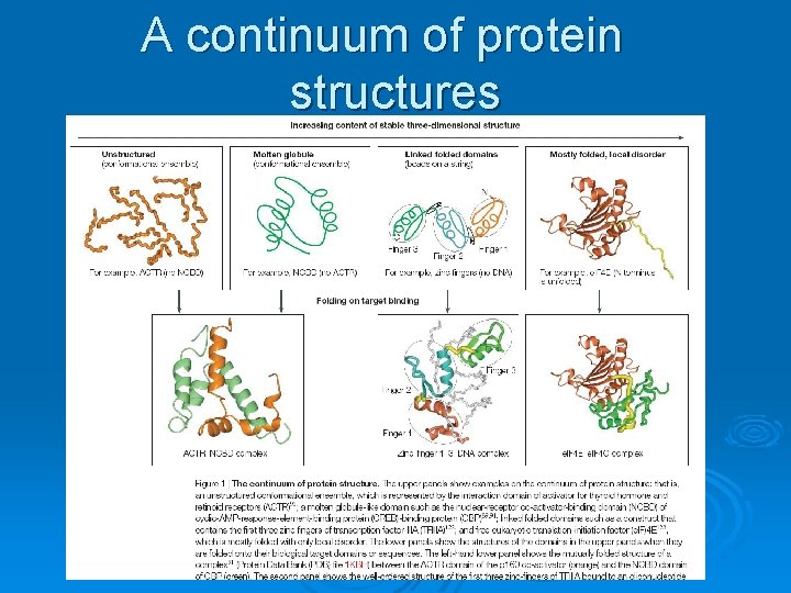 A continuum of protein structures 