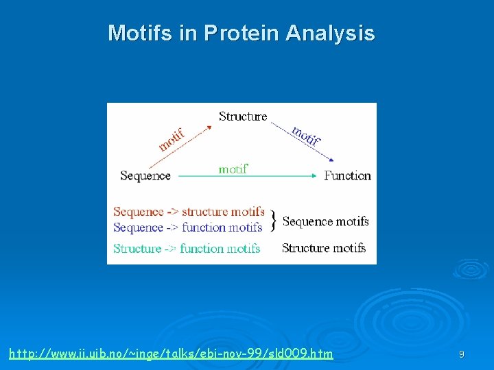 Motifs in Protein Analysis http: //www. ii. uib. no/~inge/talks/ebi-nov-99/sld 009. htm 9 