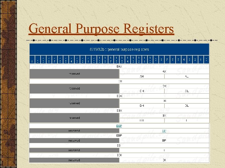 General Purpose Registers 