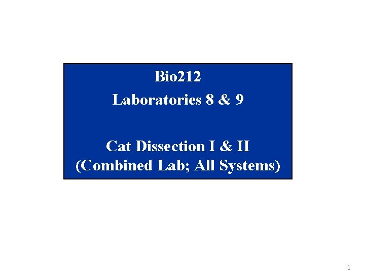 Bio 212 Laboratories 8 & 9 Cat Dissection I & II (Combined Lab; All