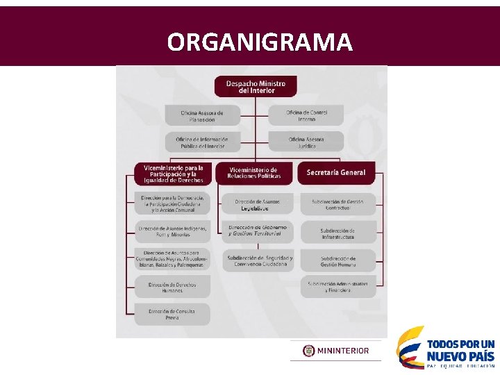 ORGANIGRAMA 