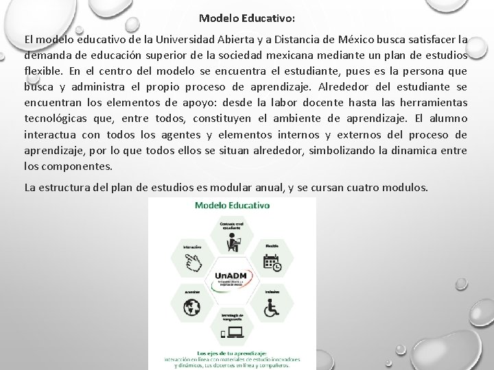 Modelo Educativo: El modelo educativo de la Universidad Abierta y a Distancia de México