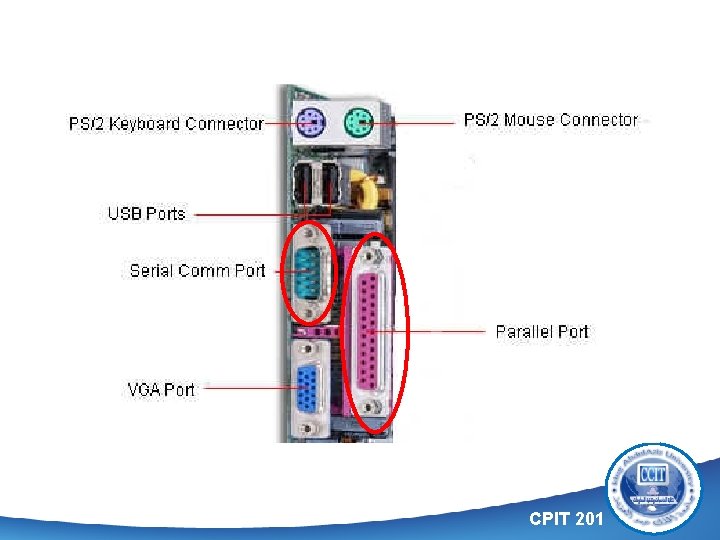 CPIT 201 