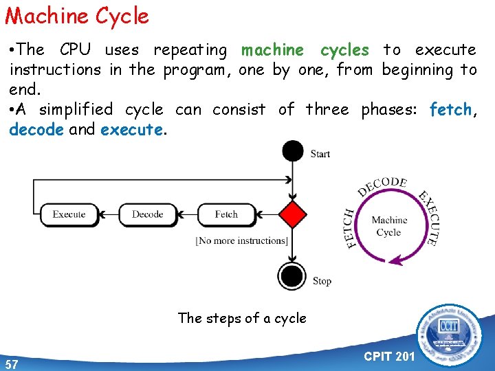 Machine Cycle • The CPU uses repeating machine cycles to execute instructions in the