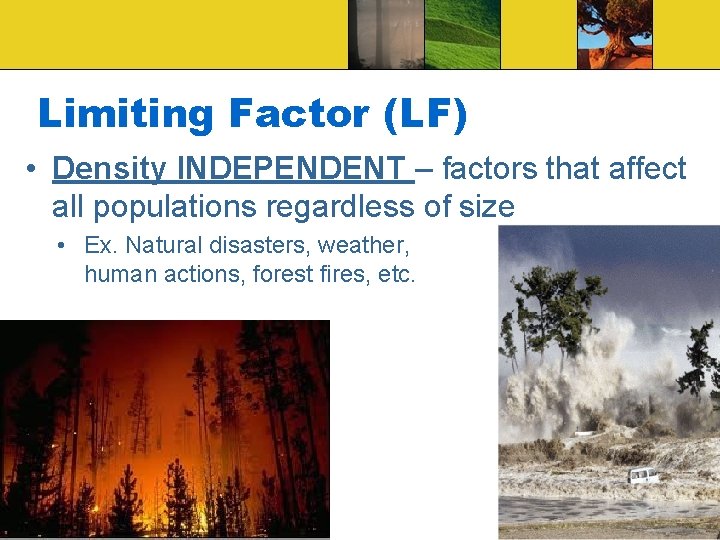 Limiting Factor (LF) • Density INDEPENDENT – factors that affect all populations regardless of