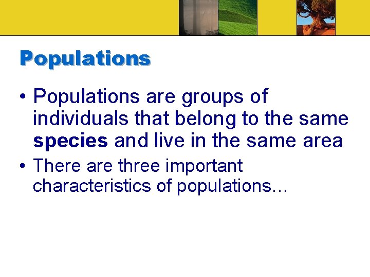 Populations • Populations are groups of individuals that belong to the same species and