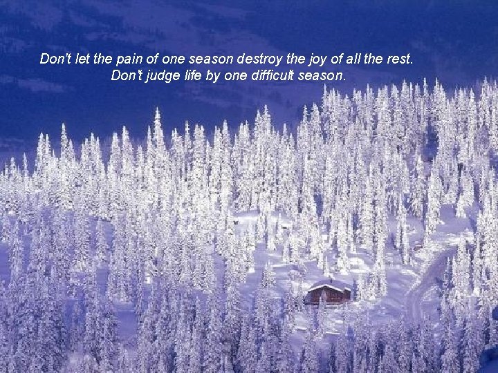 Don't let the pain of one season destroy the joy of all the rest.