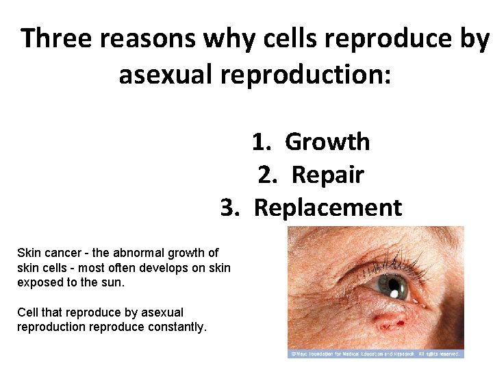 Three reasons why cells reproduce by asexual reproduction: 1. Growth 2. Repair 3. Replacement