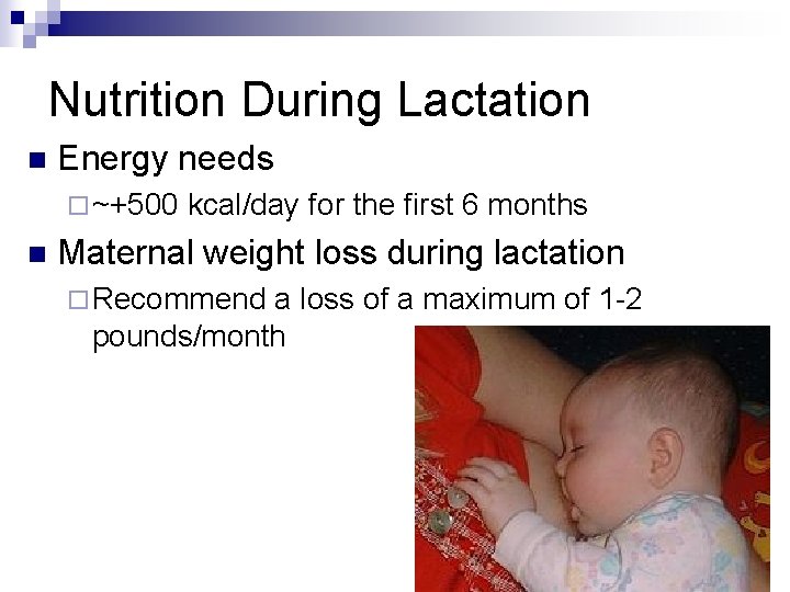 Nutrition During Lactation n Energy needs ¨ ~+500 n kcal/day for the first 6