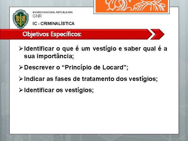 GUARDA NACIONAL REPUBLICANA GNR IC - CRIMINALÍSTICA Objetivos Específicos: Identificar o que é um