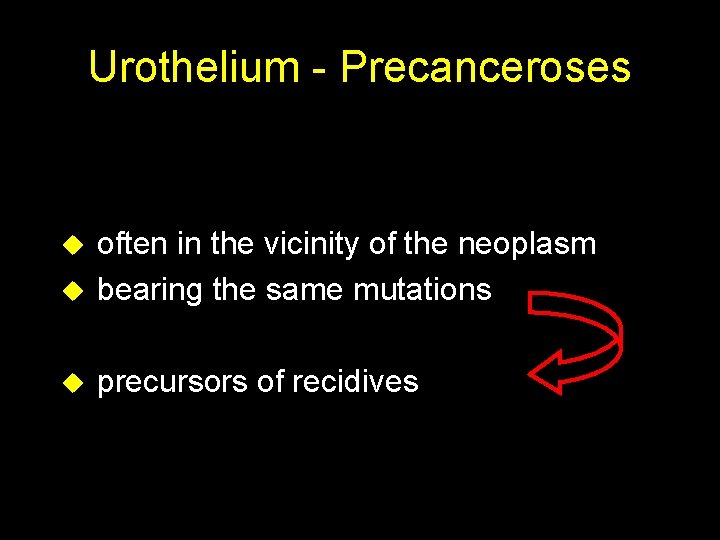 Urothelium - Precanceroses u often in the vicinity of the neoplasm bearing the same