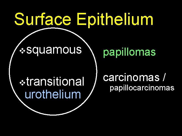 Surface Epithelium vsquamous papillomas vtransitional carcinomas / urothelium papillocarcinomas 
