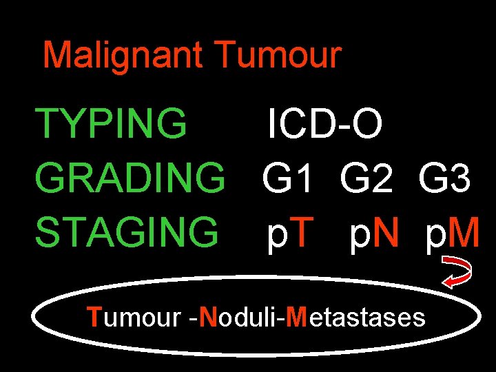 Malignant Tumour TYPING ICD-O GRADING G 1 G 2 G 3 STAGING p. T