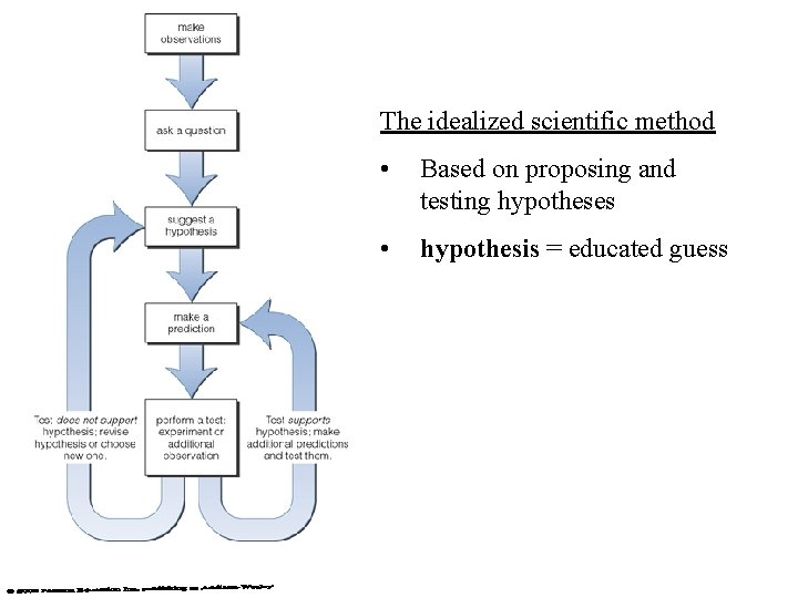 The idealized scientific method • Based on proposing and testing hypotheses • hypothesis = The idealized scientific method • Based on proposing and testing hypotheses • hypothesis =