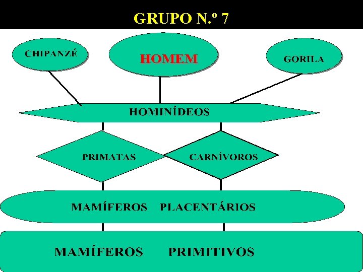 GRUPO N. º 7 