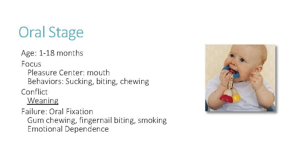 Oral Stage Age: 1 -18 months Focus Pleasure Center: mouth Behaviors: Sucking, biting, chewing