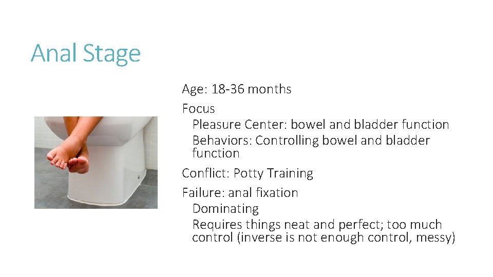 Anal Stage Age: 18 -36 months Focus Pleasure Center: bowel and bladder function Behaviors: