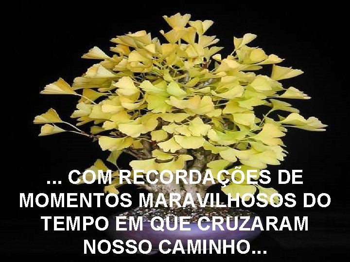 . . . COM RECORDAÇÕES DE MOMENTOS MARAVILHOSOS DO TEMPO EM QUE CRUZARAM NOSSO