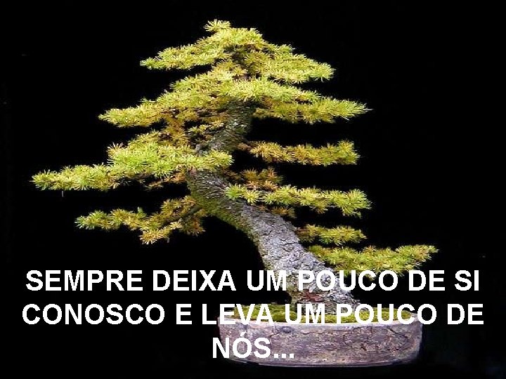 SEMPRE DEIXA UM POUCO DE SI CONOSCO E LEVA UM POUCO DE NÓS. .
