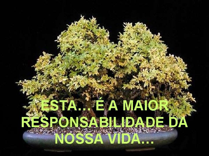 ESTA… É A MAIOR RESPONSABILIDADE DA NOSSA VIDA… 