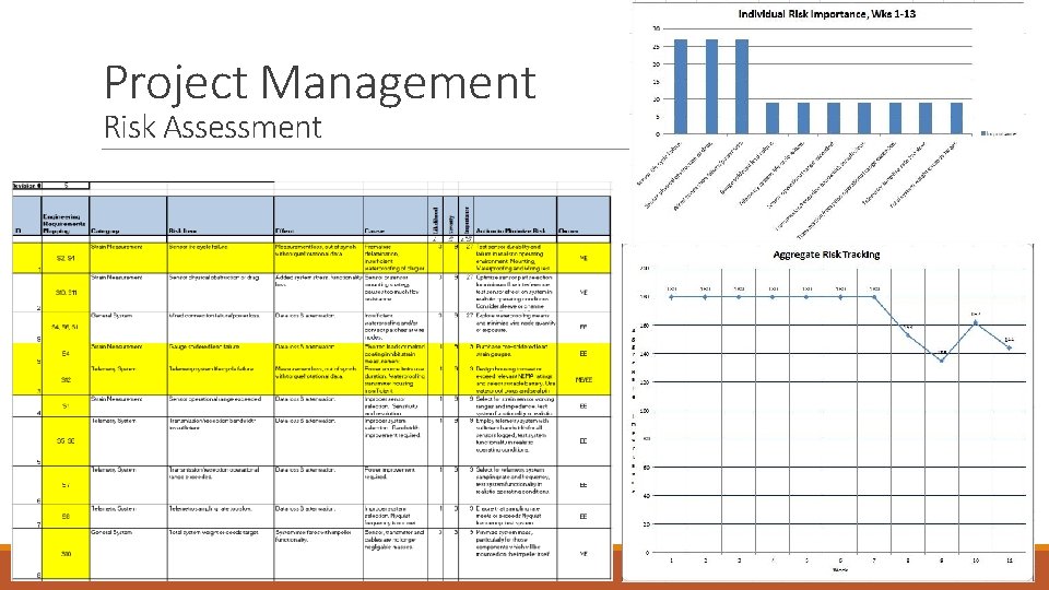 Project Management Risk Assessment 