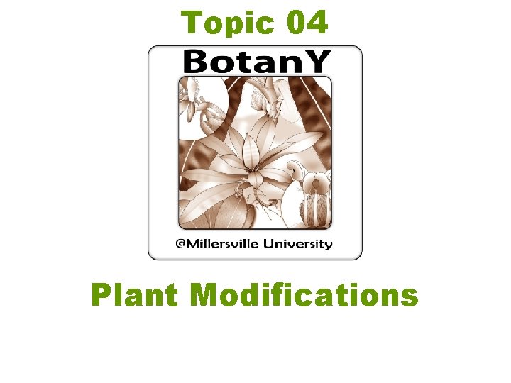 Topic 04 Plant Modifications 