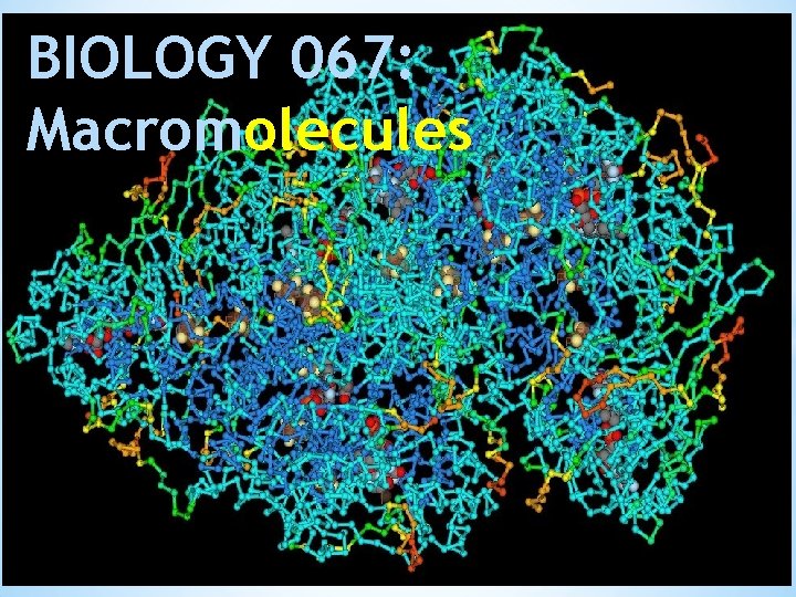 BIOLOGY 067: Macromolecules 