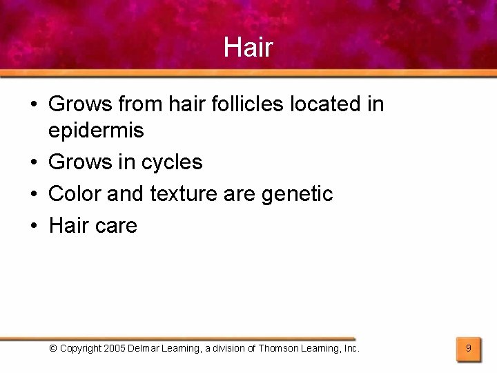 Hair • Grows from hair follicles located in epidermis • Grows in cycles •