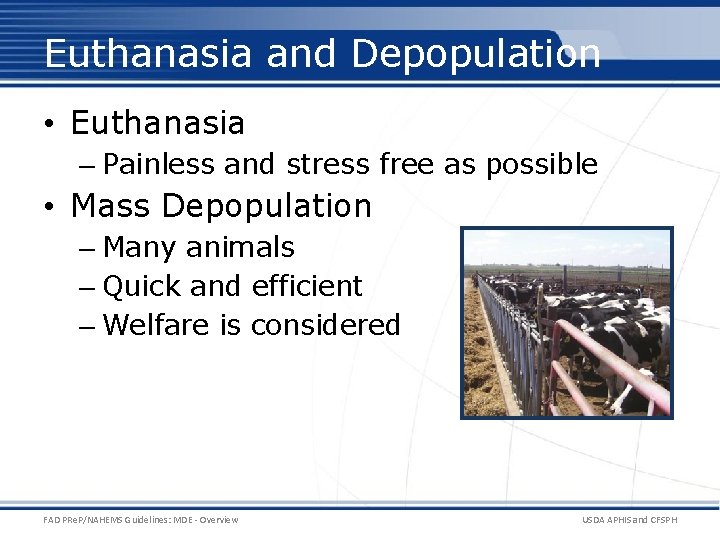 Euthanasia and Depopulation • Euthanasia – Painless and stress free as possible • Mass