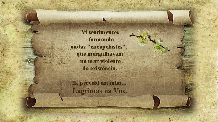 Vi sentimentos formando ondas "encapelastes", que mergulhavam no mar violento da existência. E, percebi