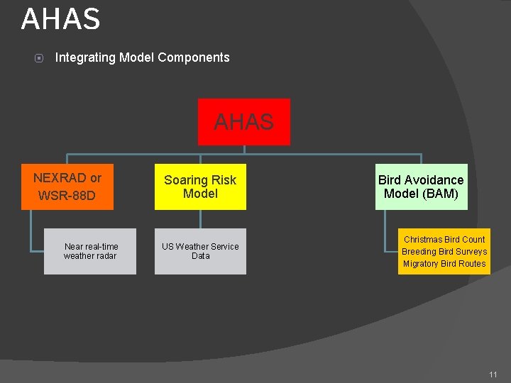 AHAS ⦿ Integrating Model Components AHAS NEXRAD or WSR-88 D Near real-time weather radar AHAS ⦿ Integrating Model Components AHAS NEXRAD or WSR-88 D Near real-time weather radar