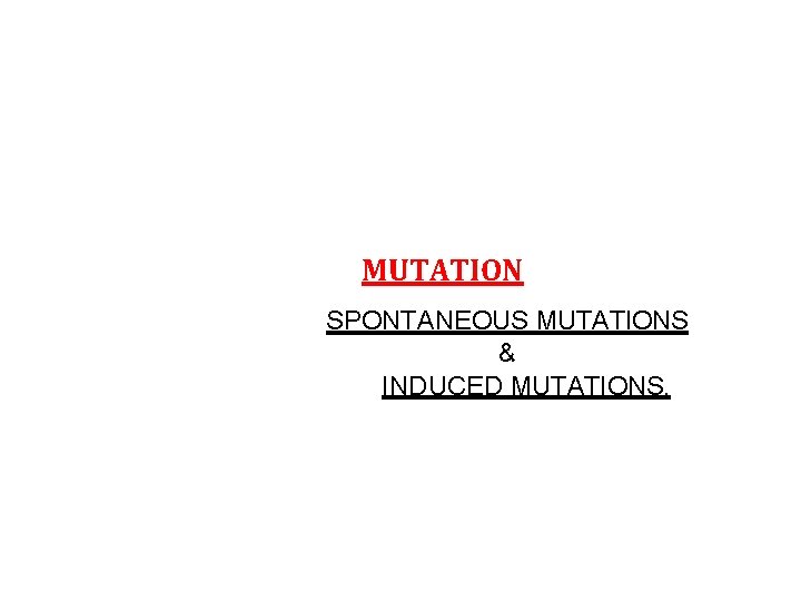 MUTATION SPONTANEOUS MUTATIONS & INDUCED MUTATIONS, 