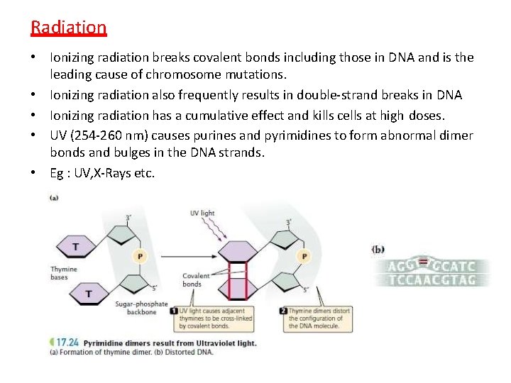 Radiation • Ionizing radiation breaks covalent bonds including those in DNA and is the