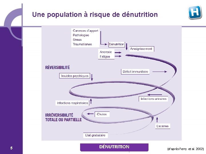 Une population à risque de dénutrition 5 DÉNUTRITION (d’après Ferry et al. 2002) 