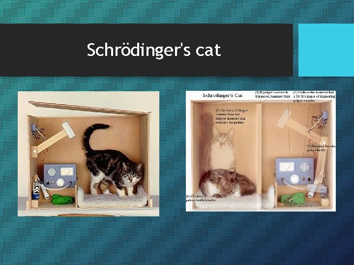 Schrödinger's cat 