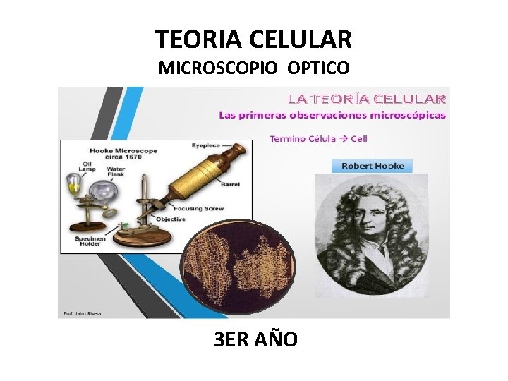 TEORIA CELULAR MICROSCOPIO OPTICO 3 ER AÑO 