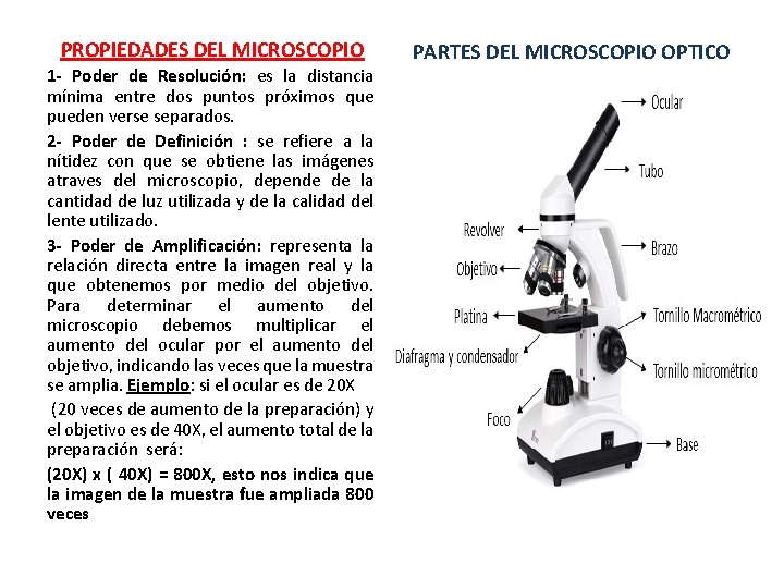 PROPIEDADES DEL MICROSCOPIO 1 - Poder de Resolución: es la distancia mínima entre dos