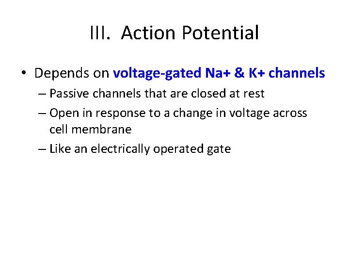 III. Action Potential • Depends on voltage-gated Na+ & K+ channels – Passive channels