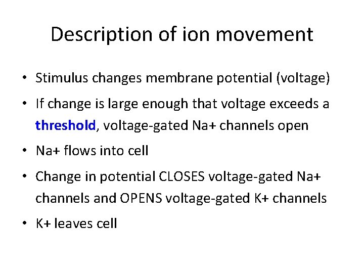 Description of ion movement • Stimulus changes membrane potential (voltage) • If change is