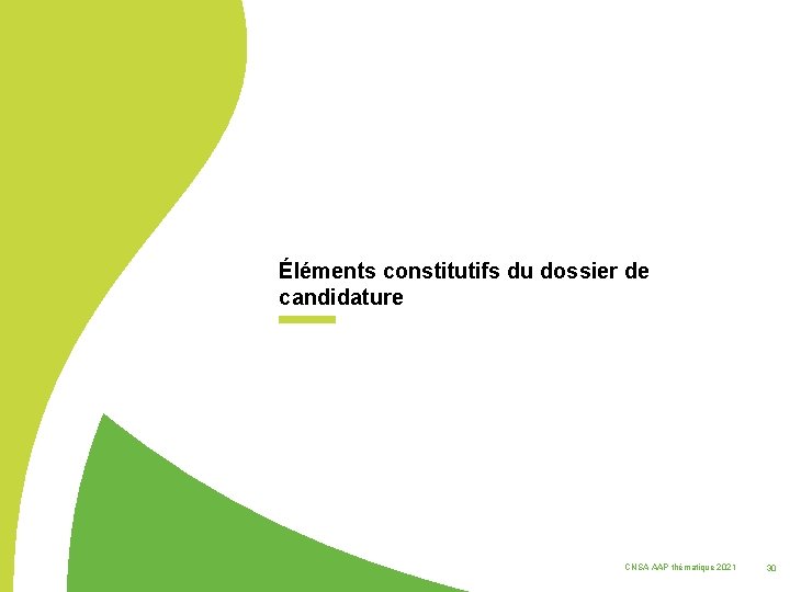 Éléments constitutifs du dossier de candidature CNSA AAP thématique 2021 30 