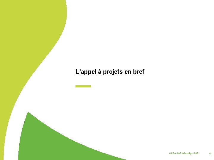 L’appel à projets en bref CNSA AAP thématique 2021 4 