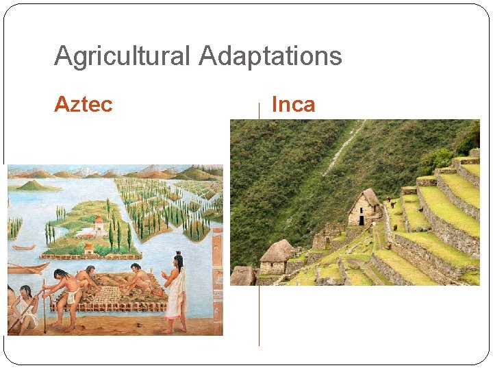 Agricultural Adaptations Aztec Inca 