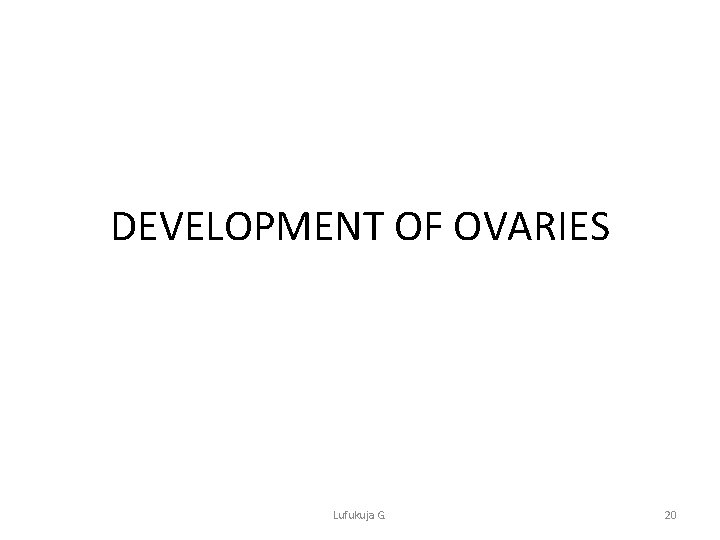 DEVELOPMENT OF OVARIES Lufukuja G. 20 