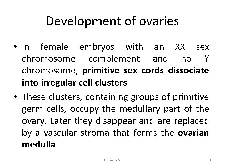 Development of ovaries • In female embryos with an XX sex chromosome complement and