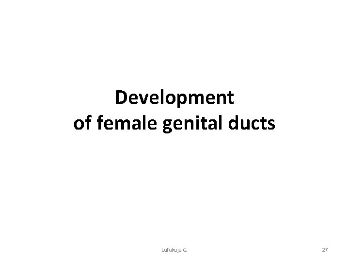 Development of female genital ducts Lufukuja G. 27 
