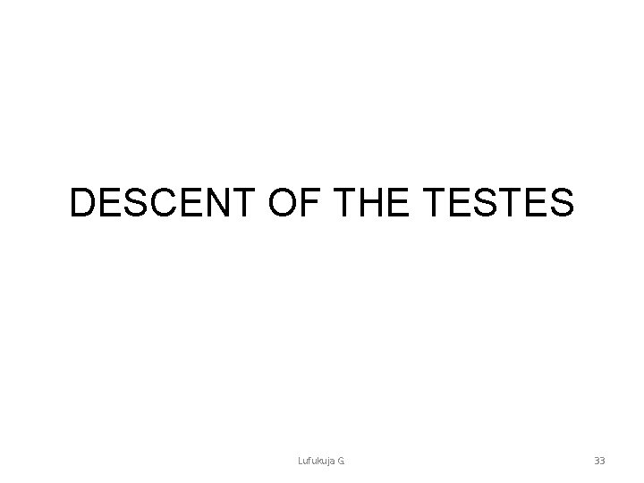 DESCENT OF THE TESTES Lufukuja G. 33 