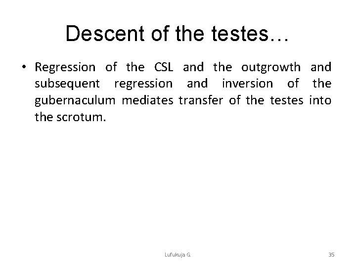 Descent of the testes… • Regression of the CSL and the outgrowth and subsequent