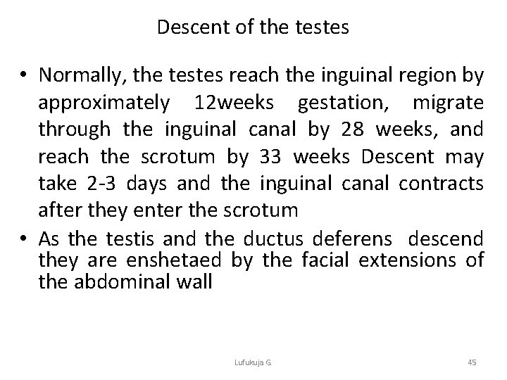 Descent of the testes • Normally, the testes reach the inguinal region by approximately