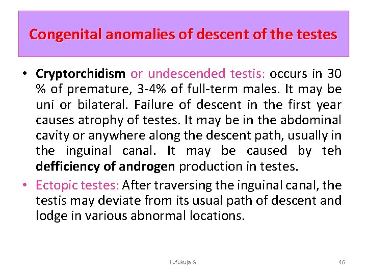 Congenital anomalies of descent of the testes • Cryptorchidism or undescended testis: occurs in